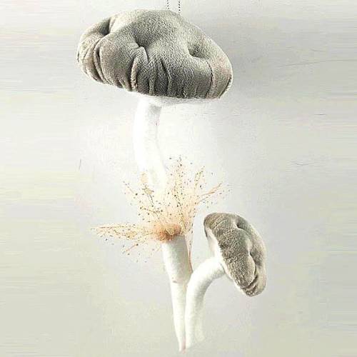 Χριστουγεννιάτικο διακοσμητικό  ΚΩΔ. PET-0114